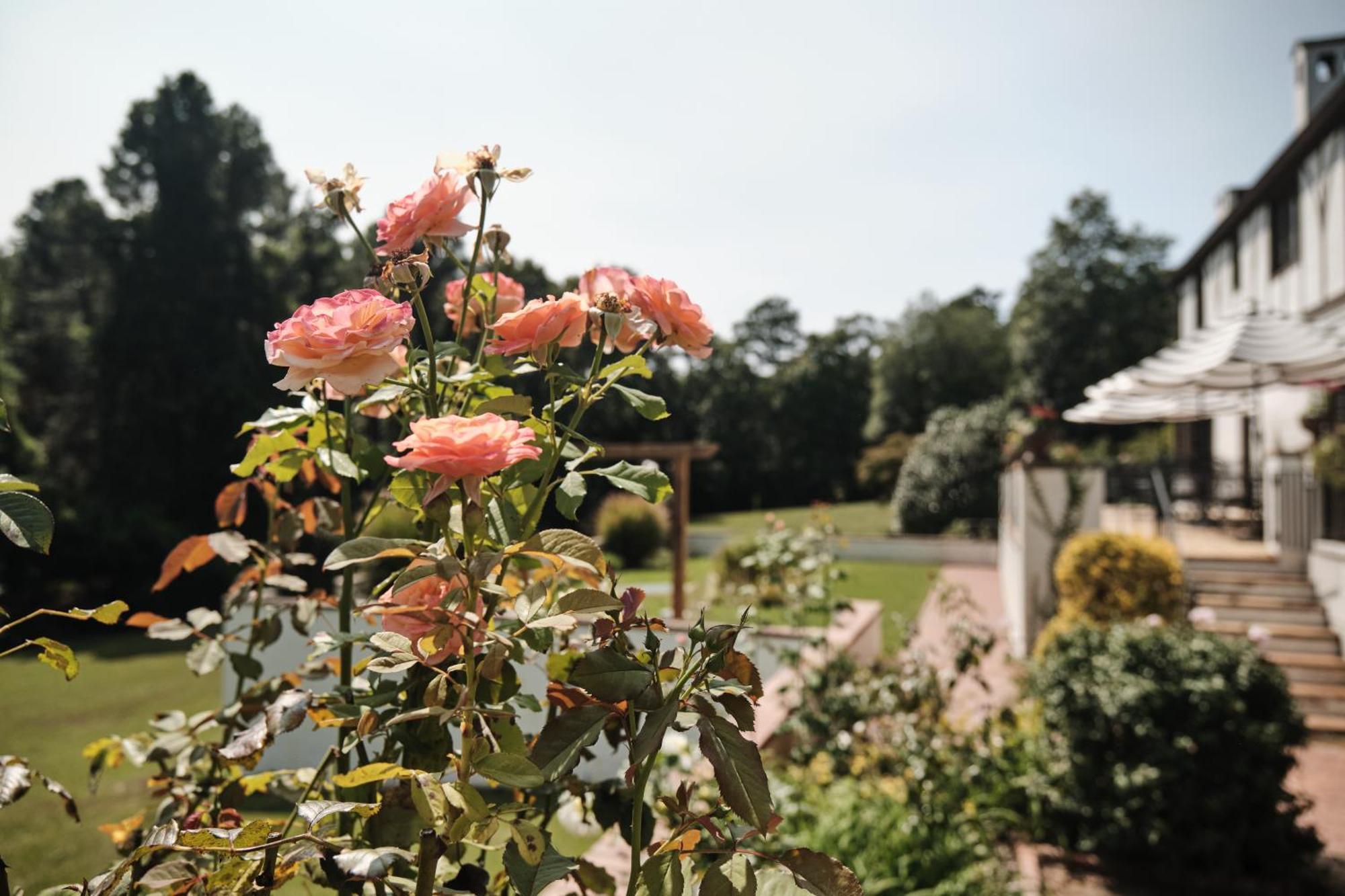 Duncraig Manor Acomodação com café da manhã Southern Pines Exterior foto